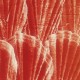 Détail