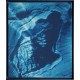 Tableau original, format 41 x 33 cm, peinture laque.