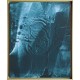 Tableau original, format 61 x 50 cm, peinture laque.