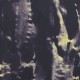 Détail